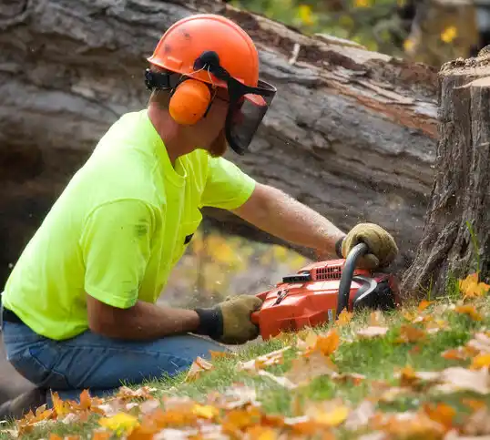 tree services Coffeeville